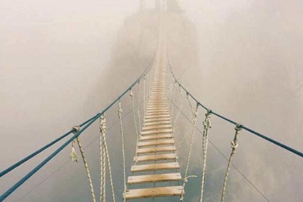Montenegro Rainforest Terrifying Bridge