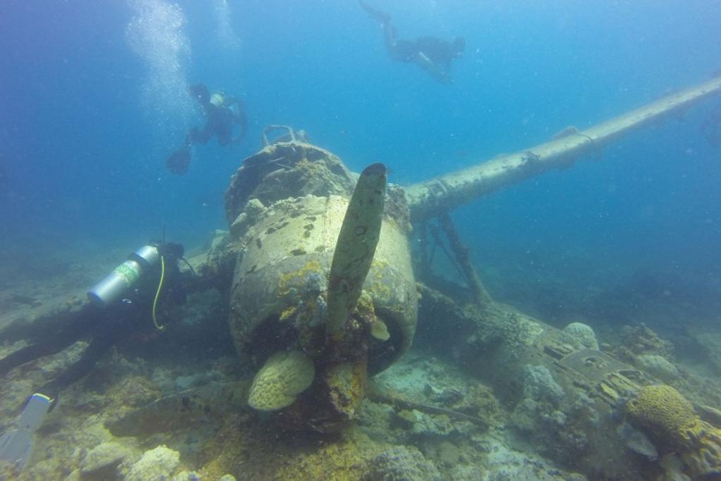 Aichi E13a-1, Palau Wreckage
