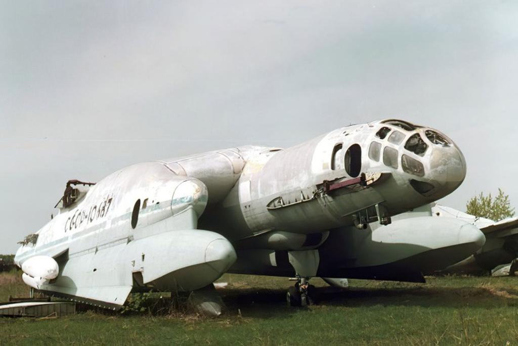 Beriev VVA-14, Russia, Wreck