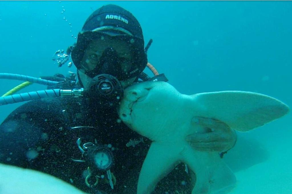 Shark Cuddles With Diver