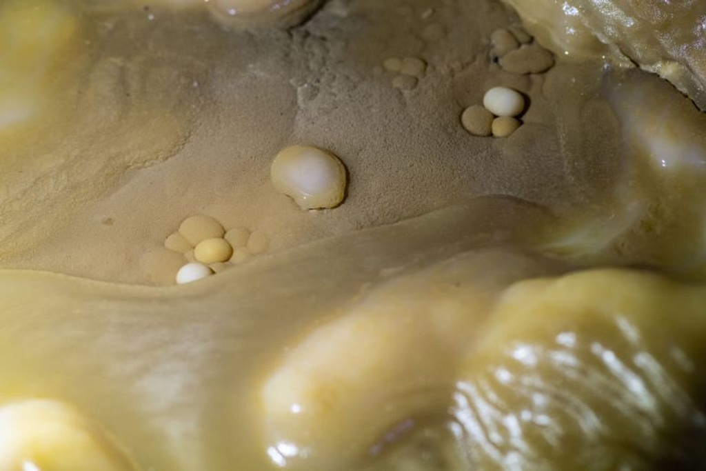Cave Pearls Shocking discoveries