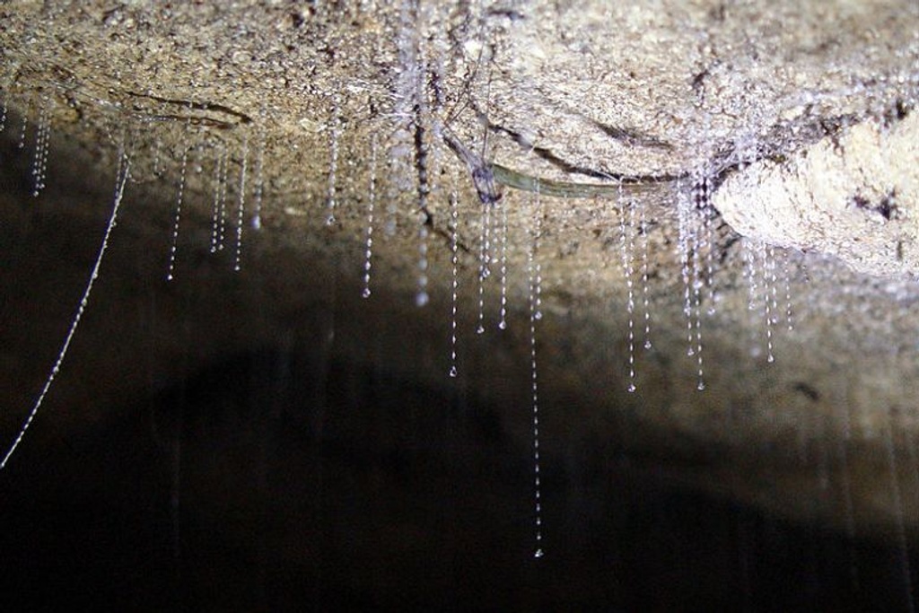 Snottite shocking cave discoveries