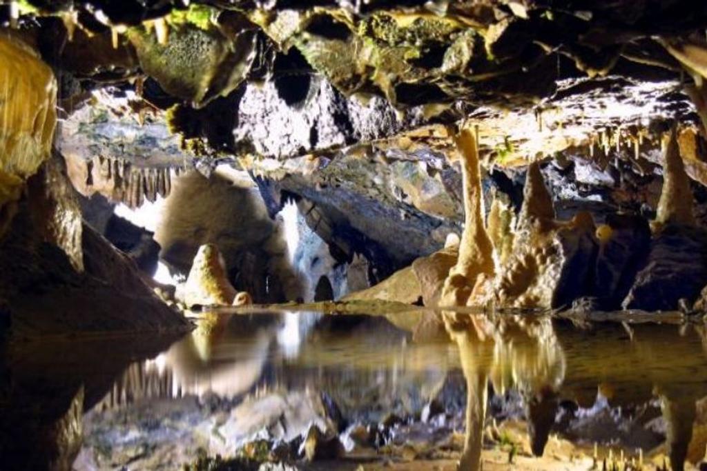 Neanderthal cannibalism cave discoveries