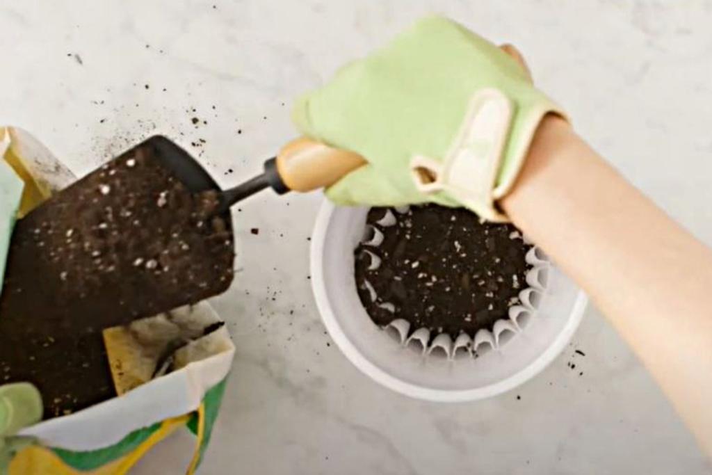 Soil Tip Coffee Filters