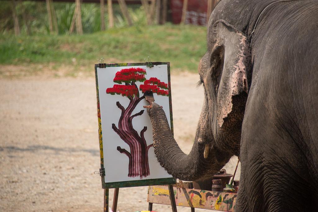 Thailand Elephant Paints Picture