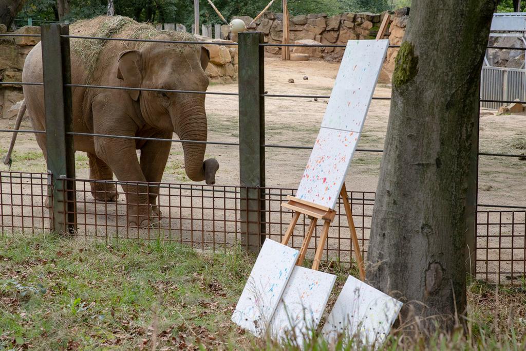 Painting Made by Elephant