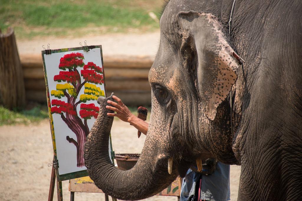 Elephant Painting Makes Thousands
