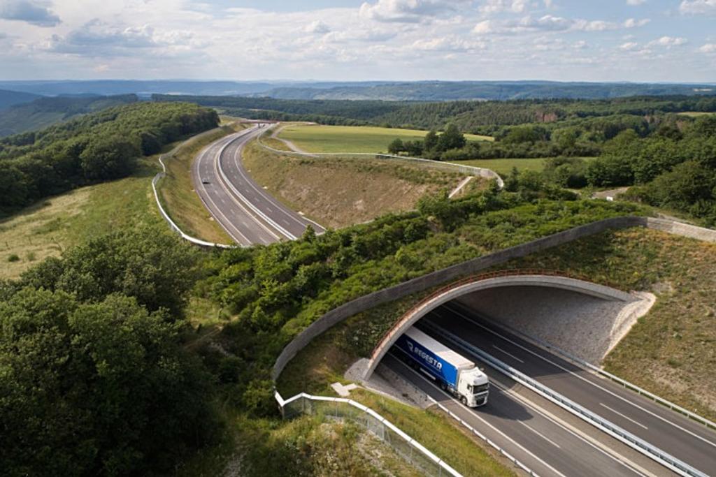 Longkamp Highway Ecoduct