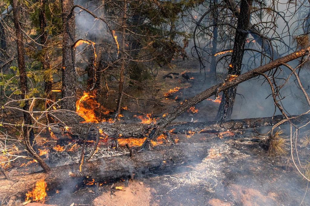 Canada Wildfires Extreme Heat