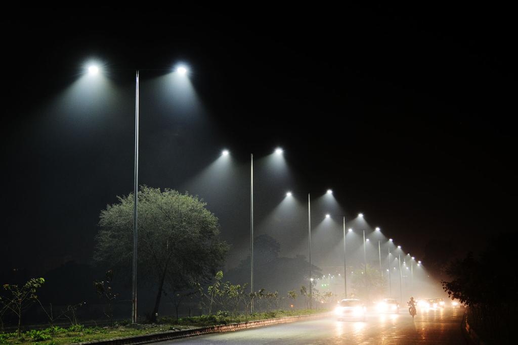 Streelights harm animals, insects