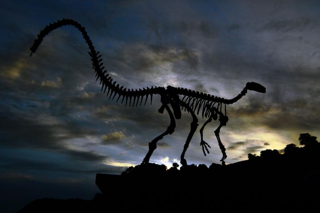 dinosaur fossils found africa