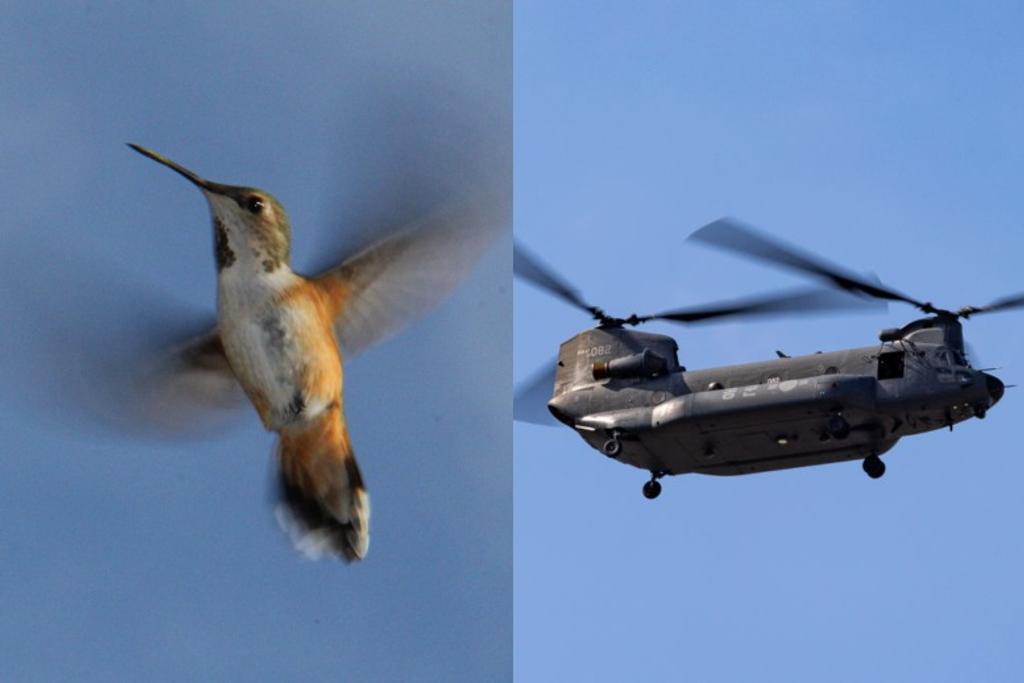 humming bird helicopter technology