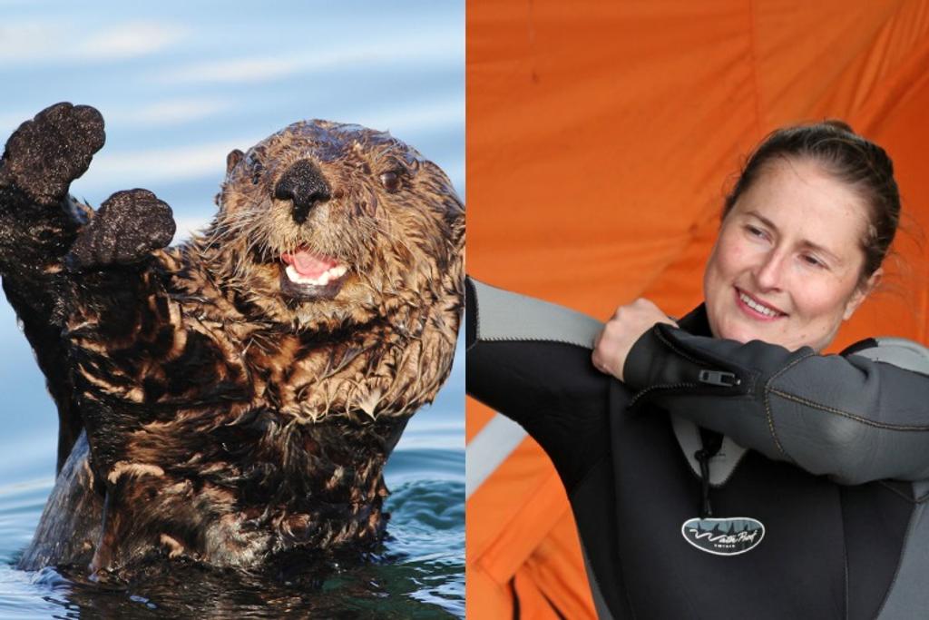 wetsuit sea otter fur