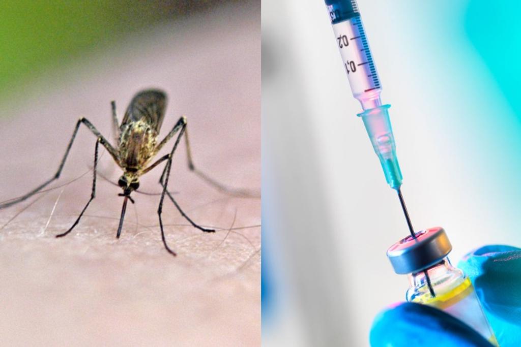 mosquito needles invention technology