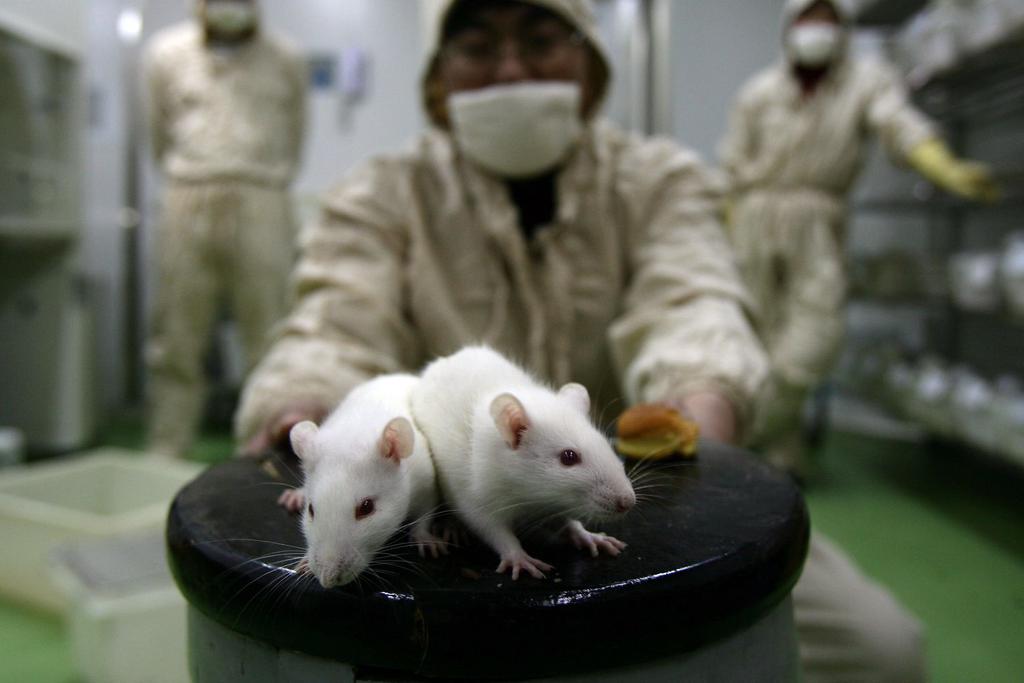 mice paralyzed cure gel