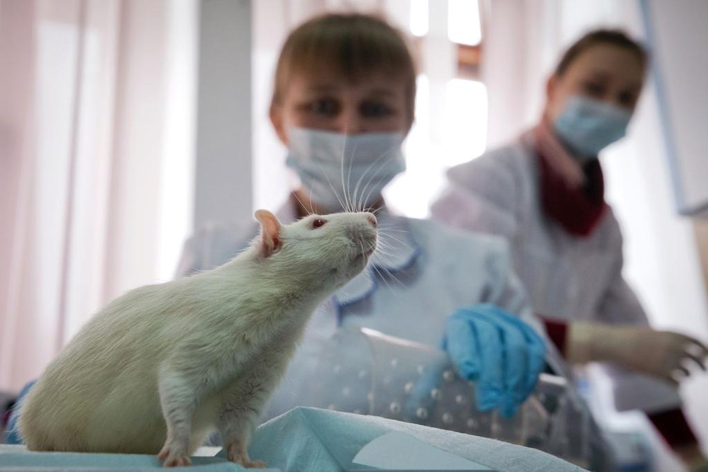 paralyzed mice cured study