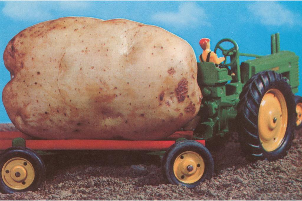 largest potato ever, Doug