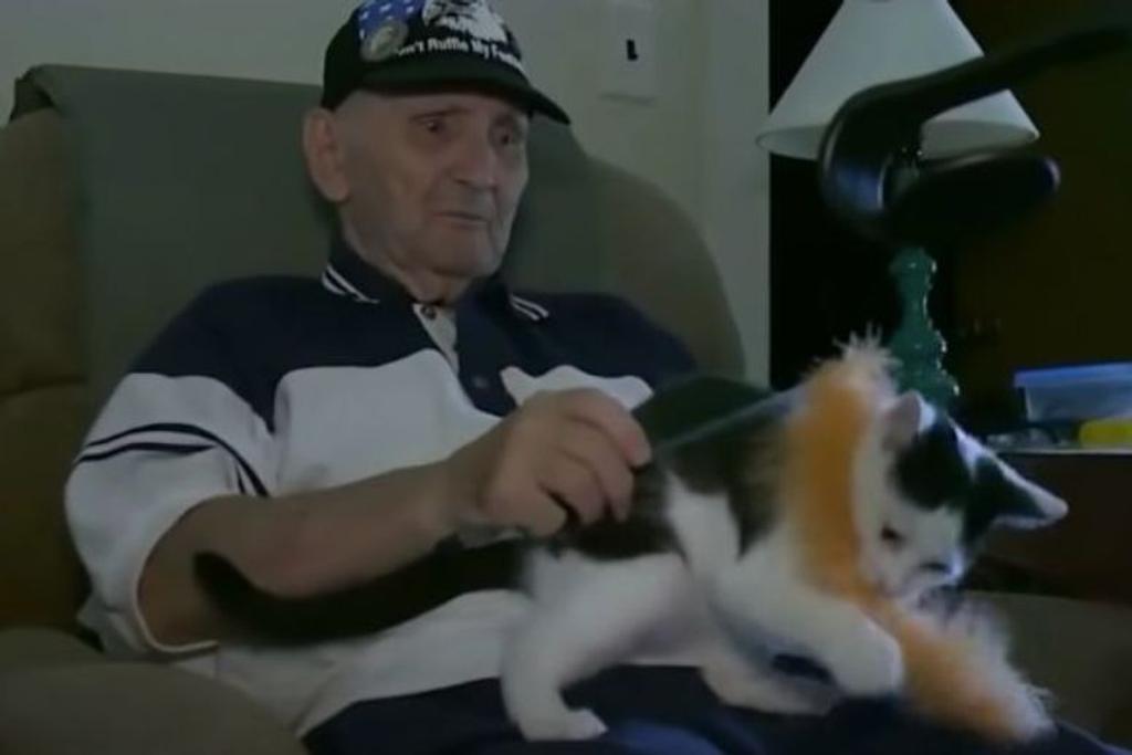 cat saves old man
