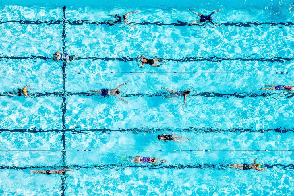 neurogenesis improvements swimming aerobics