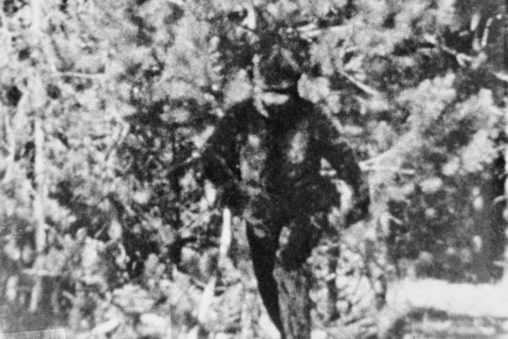 bigfoot unsolved mystery 