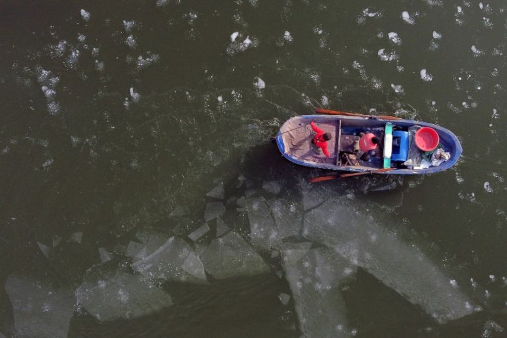 fishermen help bears russia