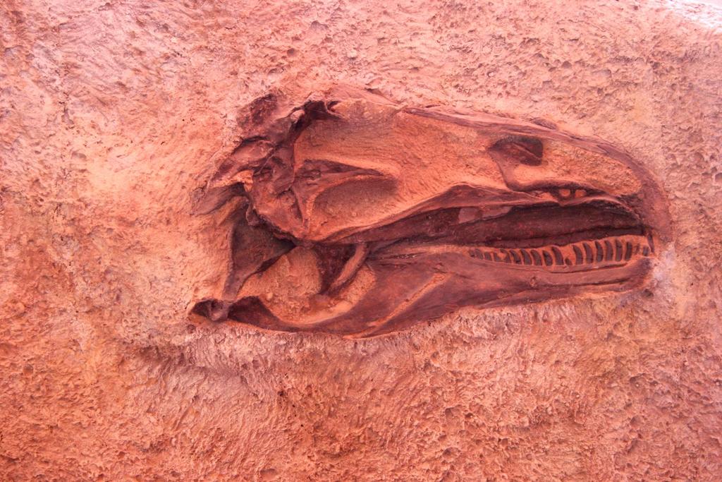 ancient dinosaur fossil found