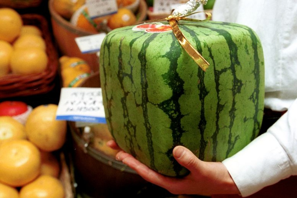 square watermelon japanese invention