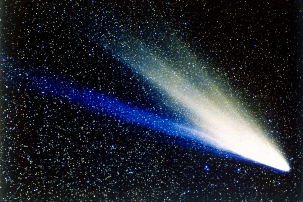 bernardinelli bernstein largest comet