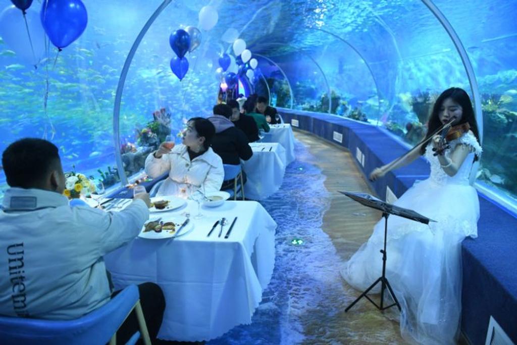 Fuyang China, Underwater, Restaurant
