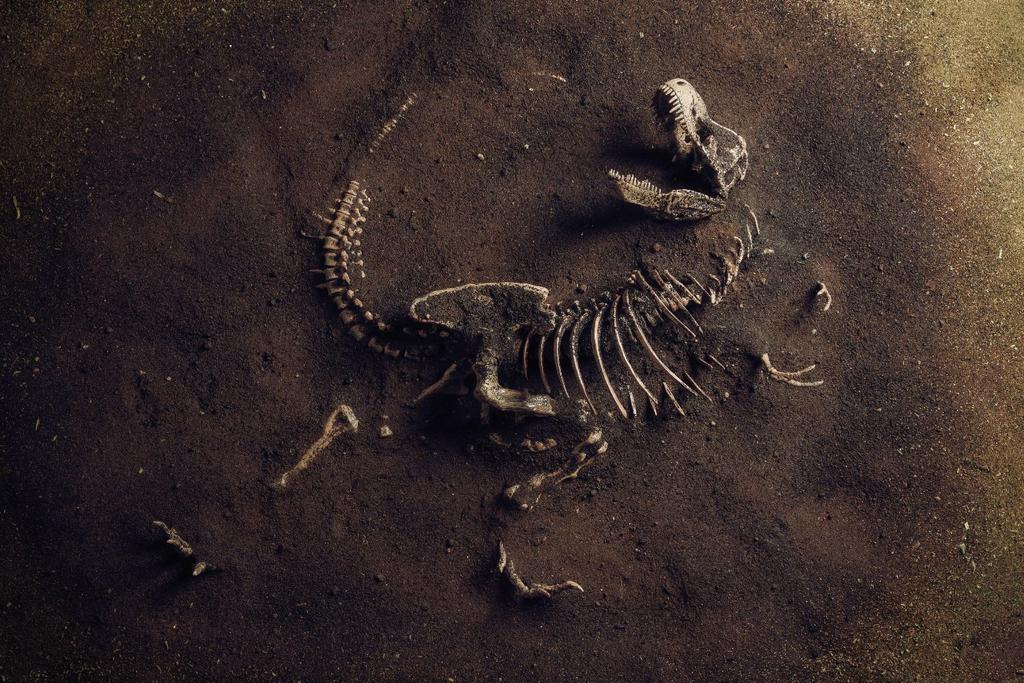 dinosaur fossil extinction day