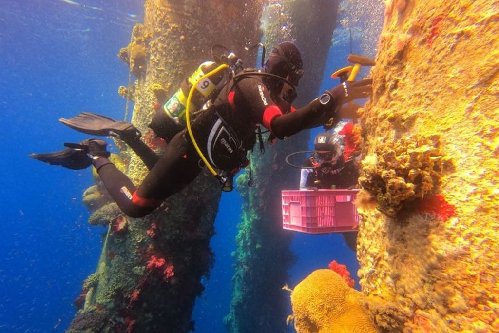 eilat israel underwater discovery 