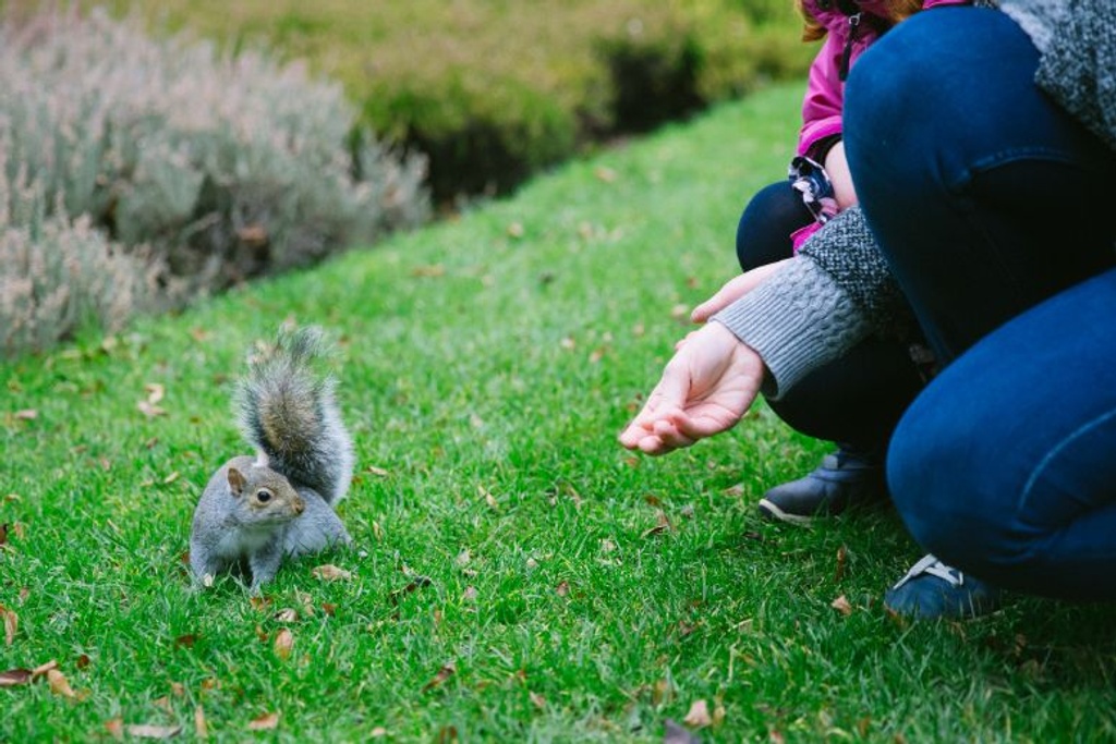 couple saves squirrel viral