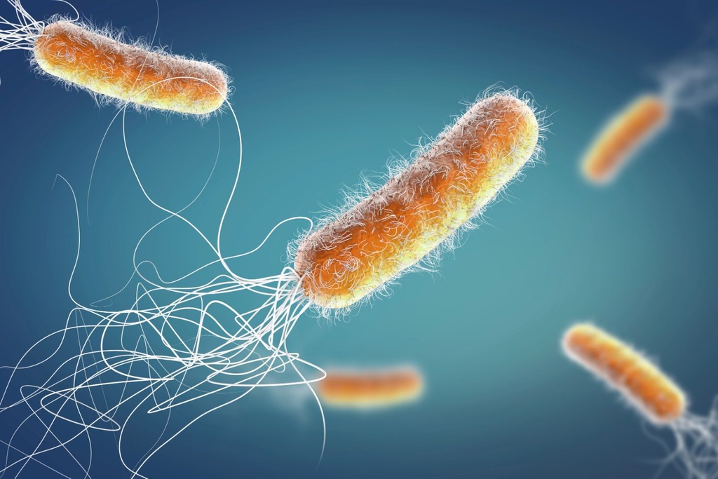 antibiotic-resistant bacteria discovery
