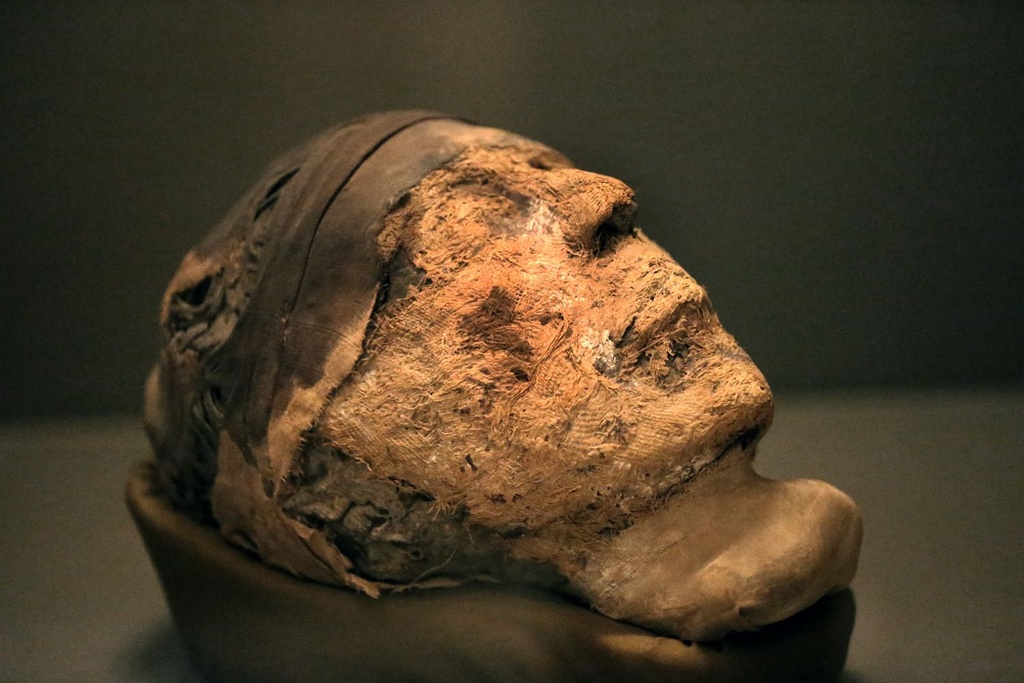 ancient mummy medicine europe 