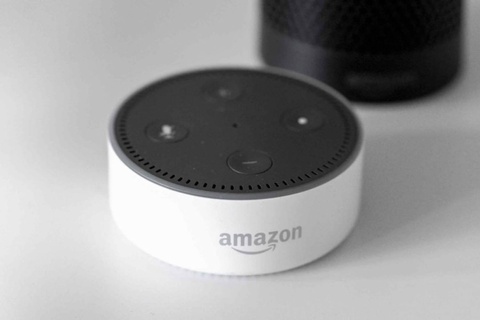 Amazon Alexa, Voice Feature