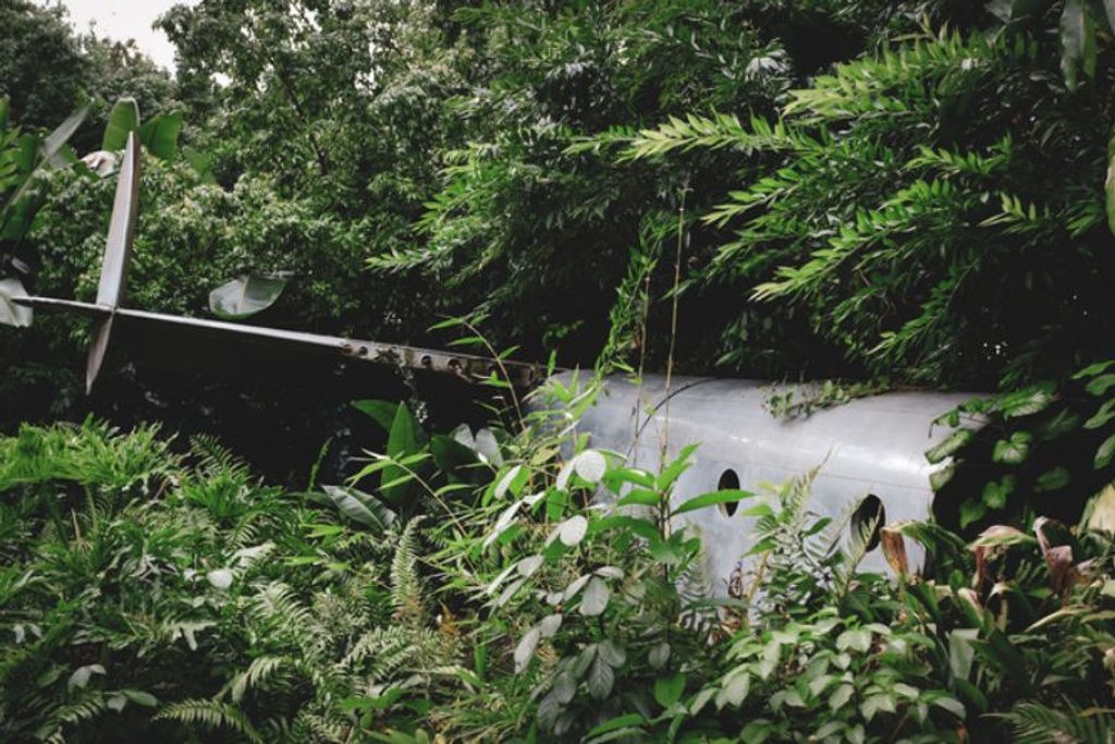 plane crash jungle rescue
