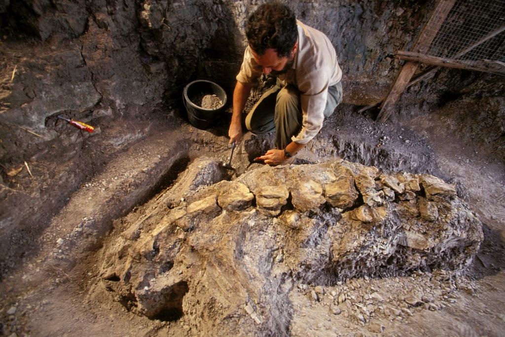 largest dinosaur fossils discovery