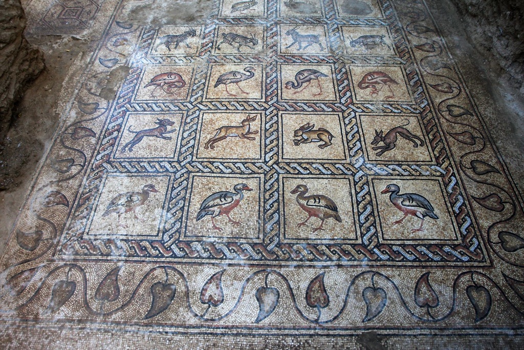 Byzantine floor mosaic discovery