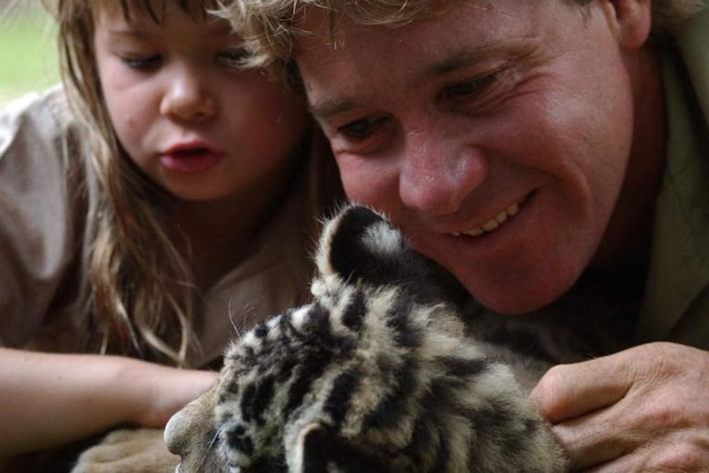 Steve Irwin wildlife tigers
