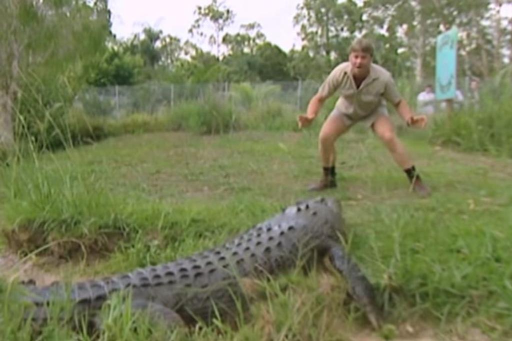 Steve Irwin Facing Crocodile