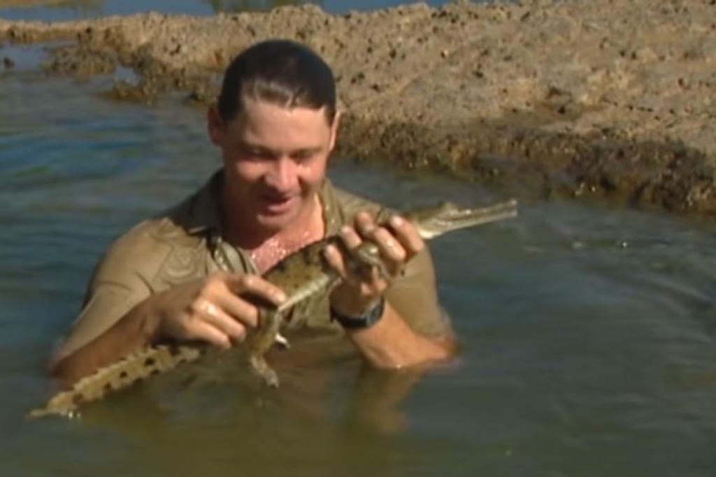 Irwin Holding Baby Crocodile