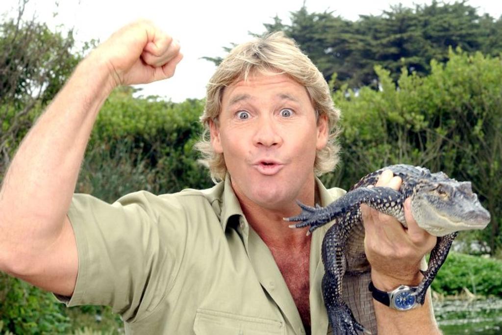 Steve Irwin crocodile wrestling