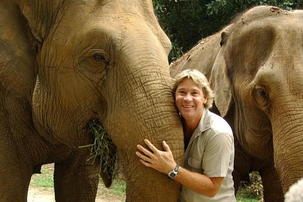 Steve Irwin elephant footage