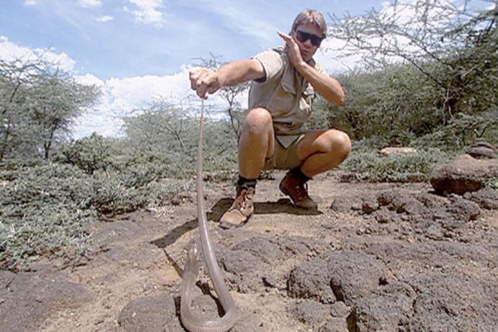 Steve Irwin Holding Snake