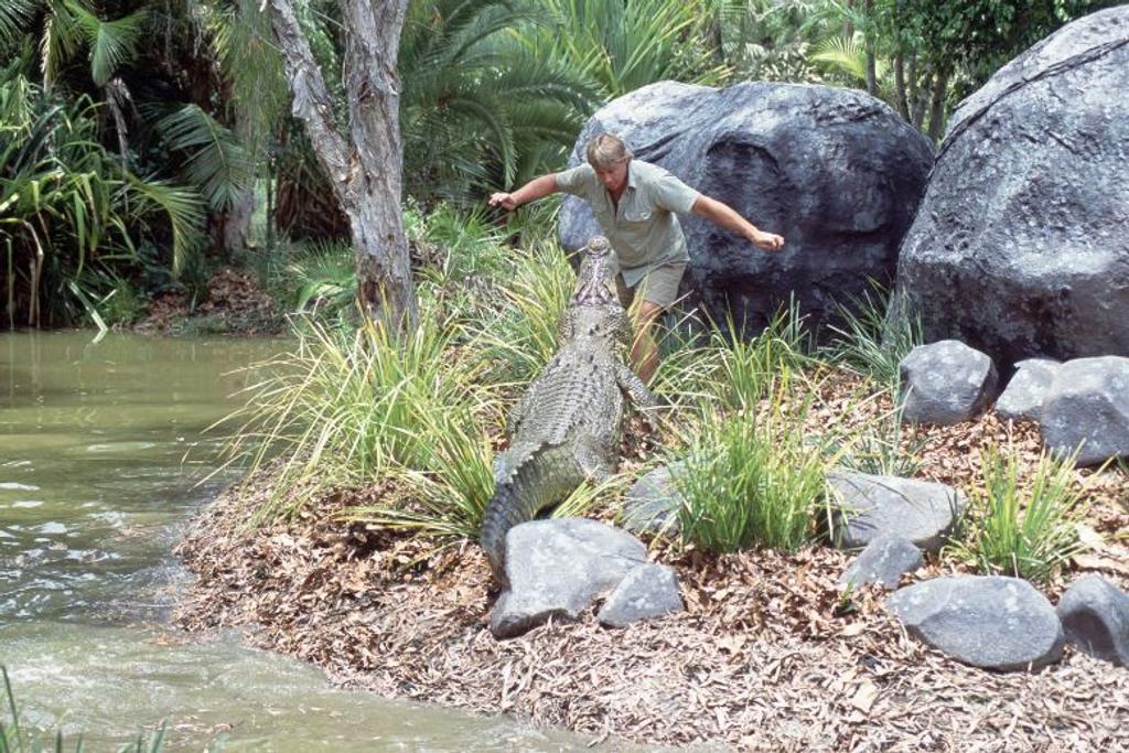 Steve Irwin Battling Crocodile