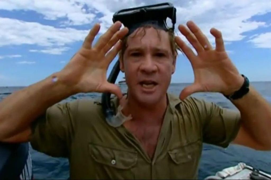 Steve Irwin Snorkeling Great Barrier 
