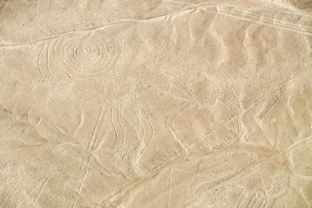 Monkey Geoglyph Nazca Lines