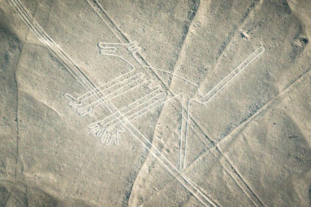 Dog Geoglyph Nazca Lines