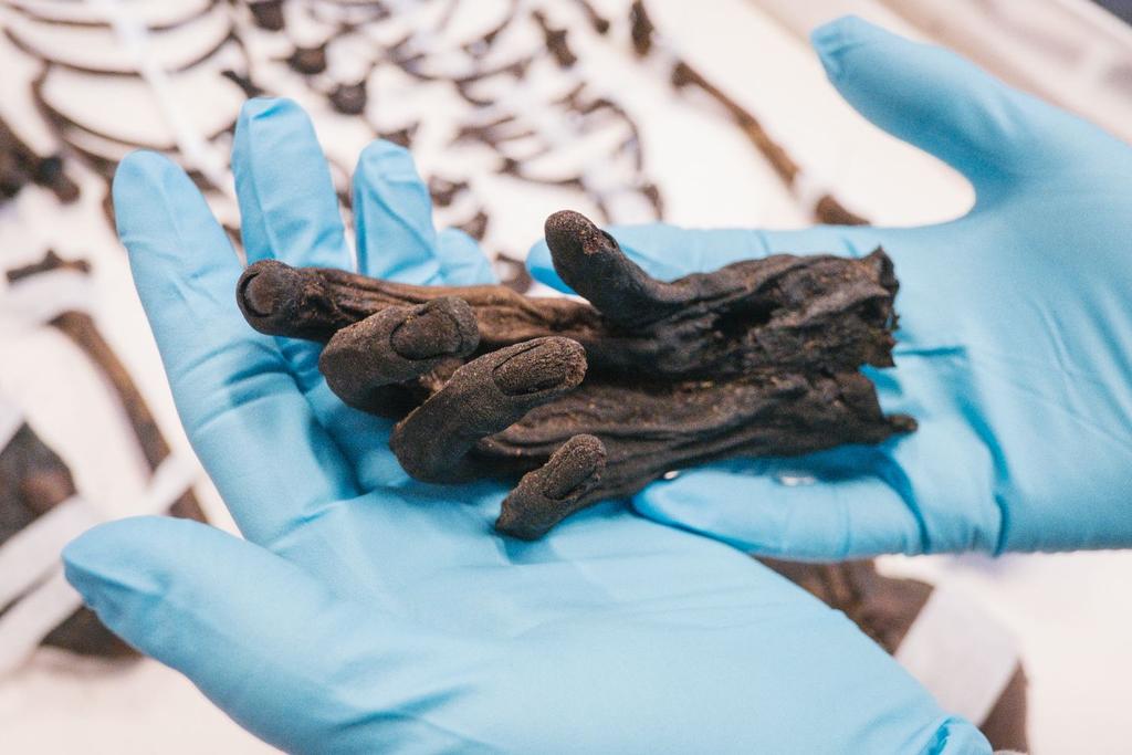 Bog Bodies Mummy Europe Discovery