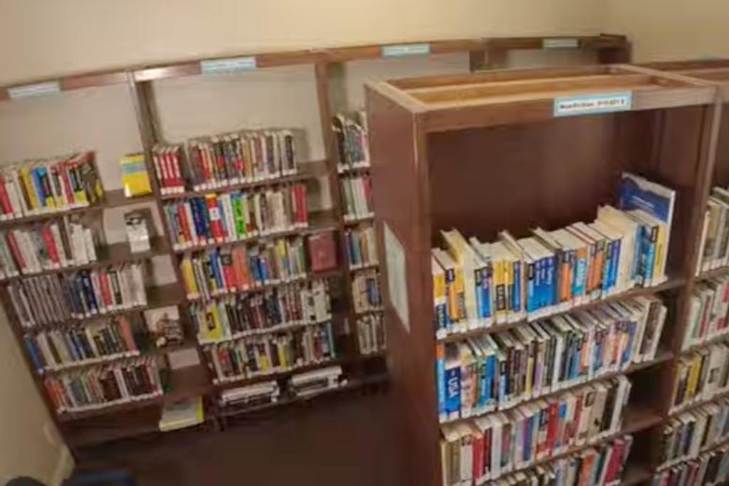 Minnesota Library Book Mystery Viral